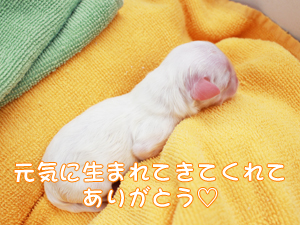 }`[Y̏oYɗ܂?